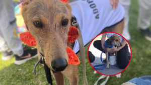 Ludmila DESTACADA_20260411_155130_0000