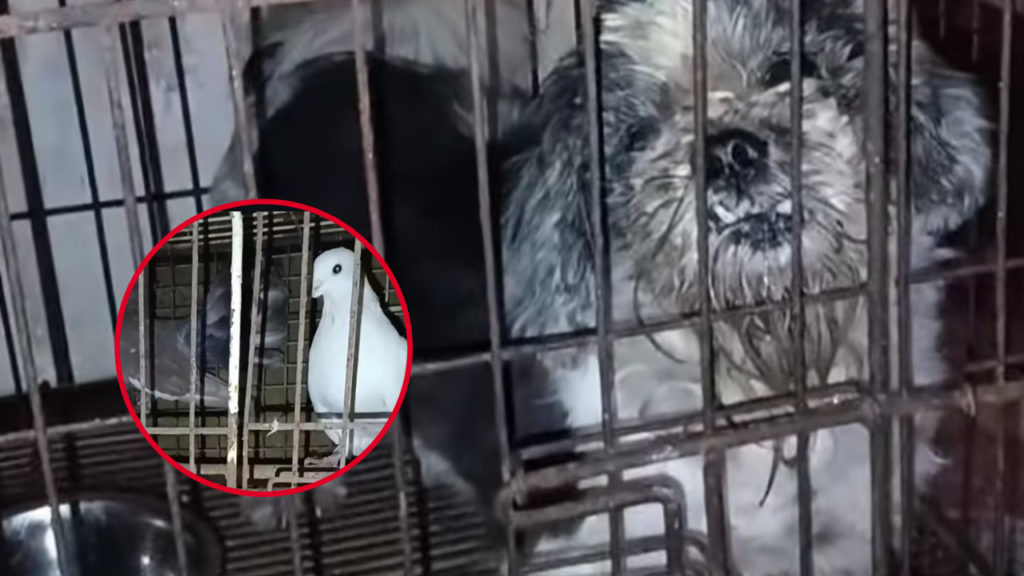 Ludmila DESTACADA_20260425_114448_0000