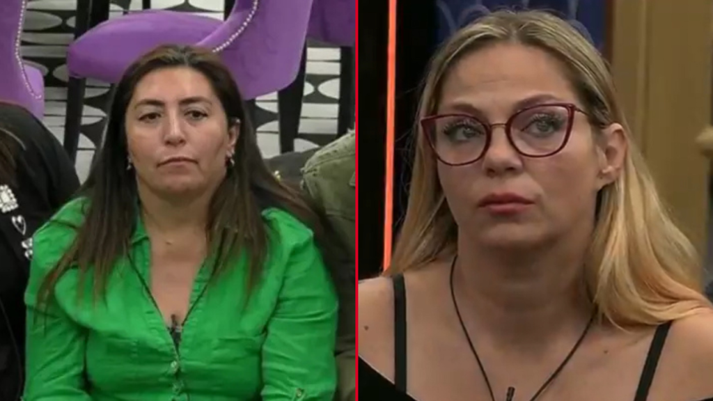 PINCOYA-GRAN-HERMANO