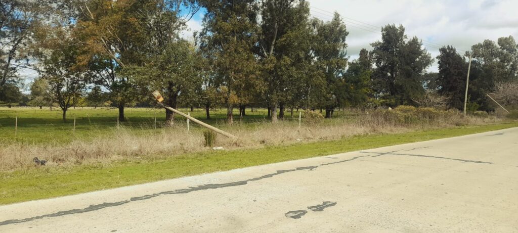 POSTES DE LUZ CAÍDOS ENTRADA AUTODROMO EL PELIGRO
