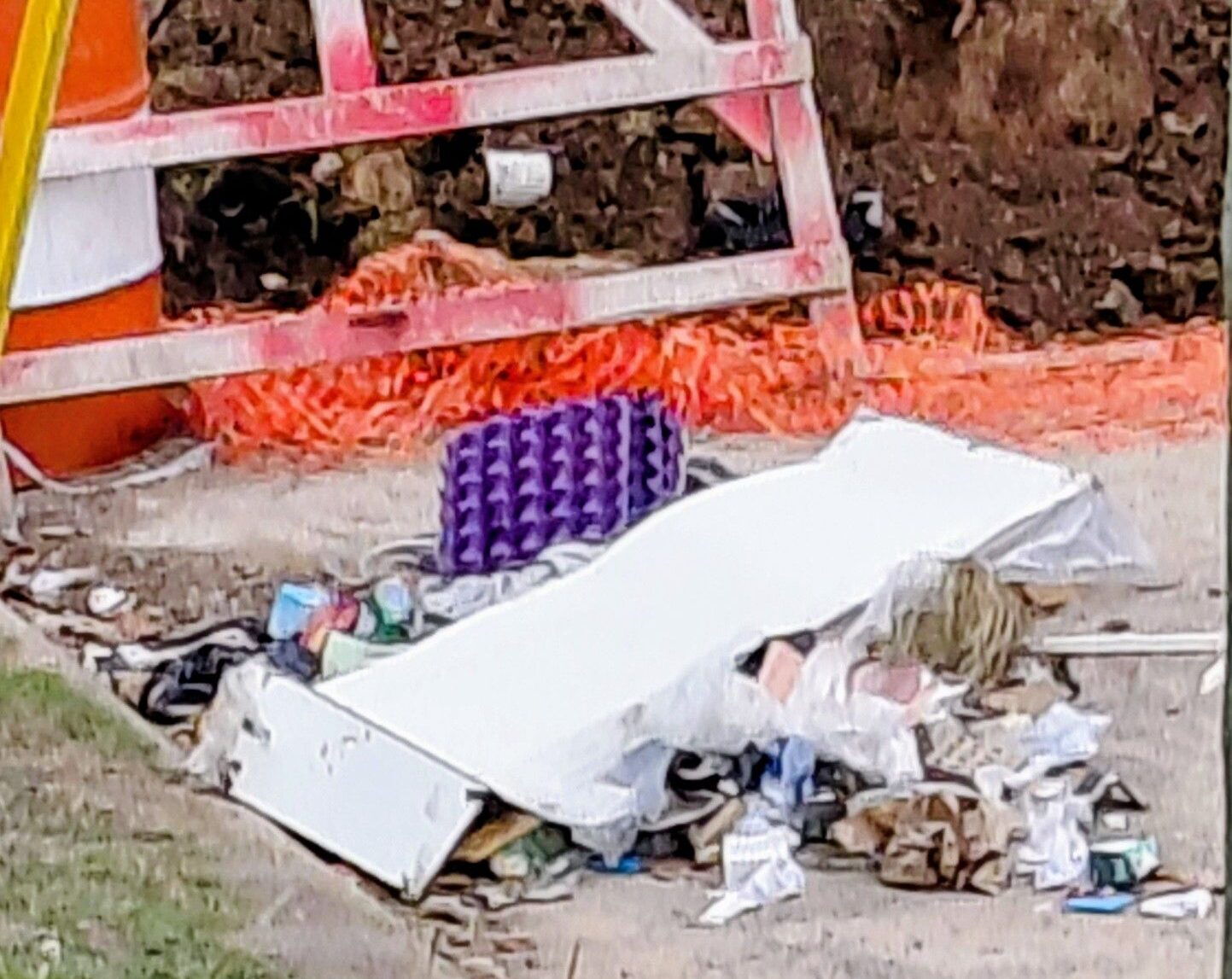 Vecinos de 147 y 60 denuncian que arrojan basura sin bolsas en la vía ...