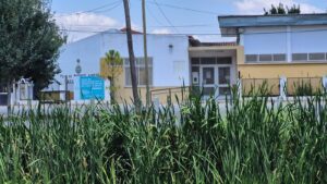 SECUNDARIA 61 ETCHEVERRY