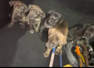 Screenshot_20260412-132001~2