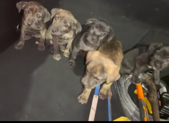 Screenshot_20260412-132001~2