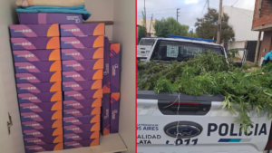 TABLETS-MARIHUANA-DETENIDO-VILLA-ELVIRA