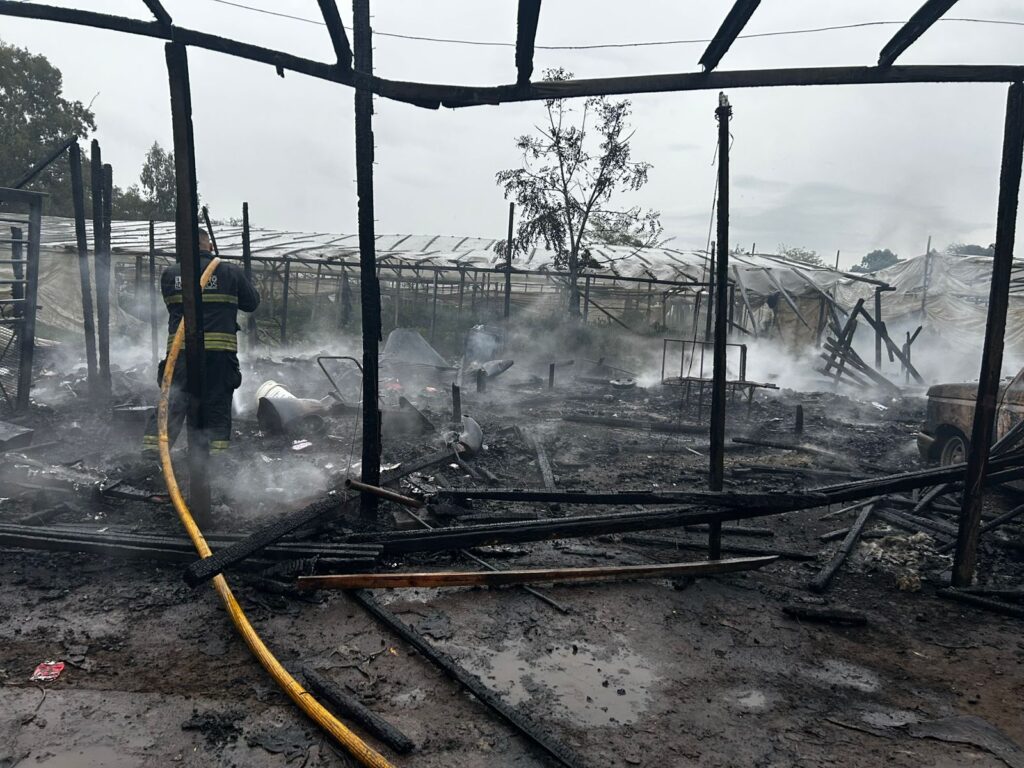 Voraz incendio en 409 entre 209 y diagonal 210-el-peligro-2