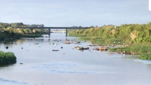 arroyo-el-gato-la-plata-