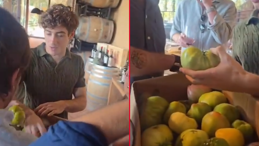 franco-colapinto-tomates-platenses-