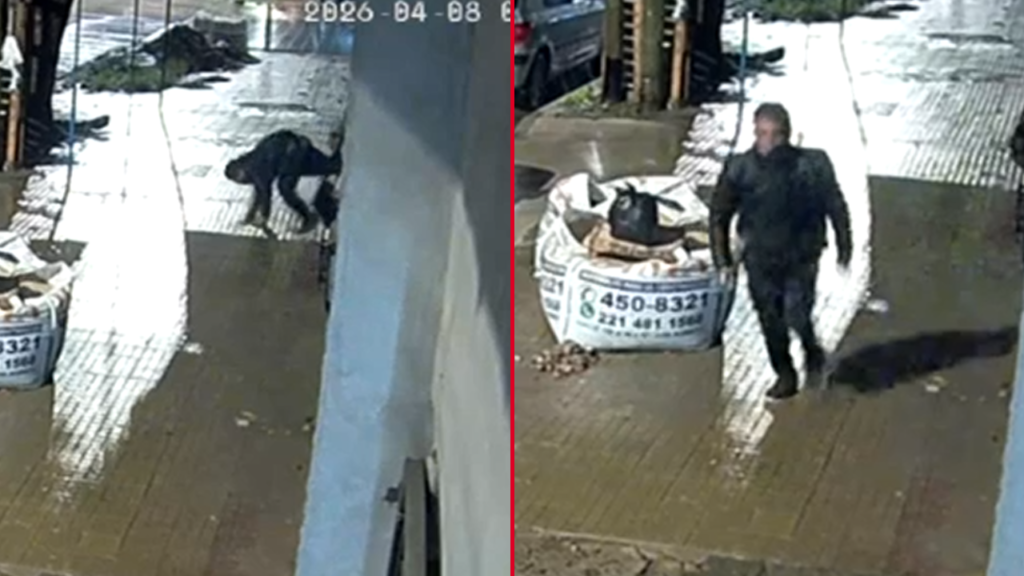 intento-robo-los-hornos-