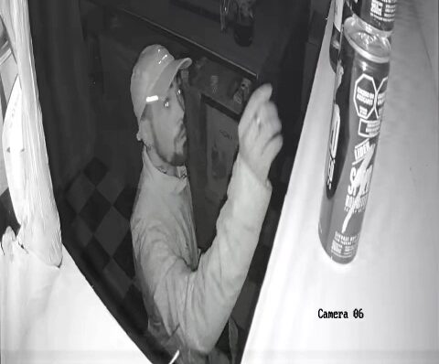 robo-pizzeria-san-carlos