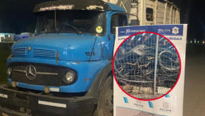 DETENIDOS POR CARGAMENTO DE CABLES EN RUTA 2