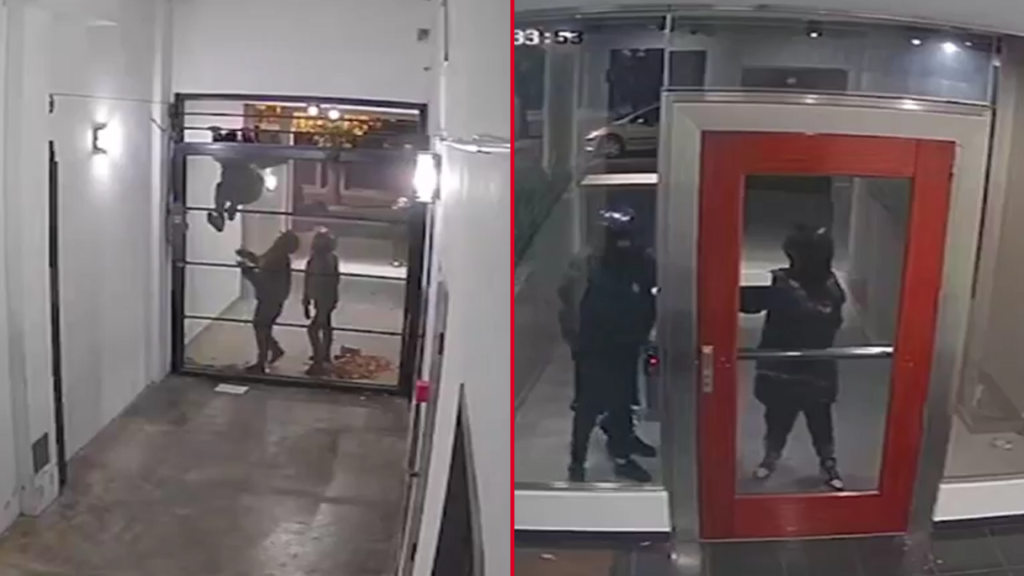INTENTO-ROBO-INSEGURIDAD-LA-PLATA