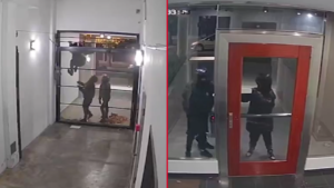 INTENTO-ROBO-INSEGURIDAD-LA-PLATA