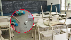 RATAS ESCUELA 21 LOS HORNOS