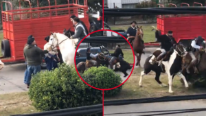 pelea-paisanos-berazategui-redes-
