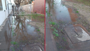 RIESGO-SANITARIO-ESCUELA-51-LOS-HORNOS-RECLAMO-DESBORDE-CLOACAL