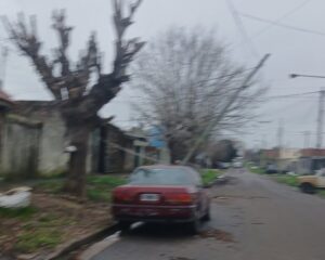 Vecinos de 151 entre 67 y 68 denuncian que un poste está a punto de caer