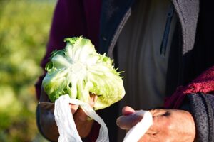 evento de promoción y visibilización de la producción hortícola