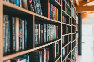 NOCHE DE LAS LIBRERIAS PLATENSES