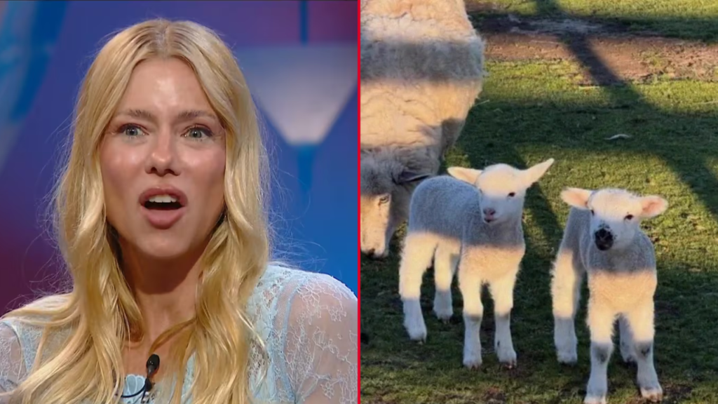Nicole Neumann, en guerra con un vecino por sus corderitos “Me los va a hacer estofado” - animales