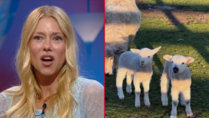 Nicole Neumann, en guerra con un vecino por sus corderitos “Me los va a hacer estofado” - animales