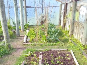 PARQUE ECOLÓGICO