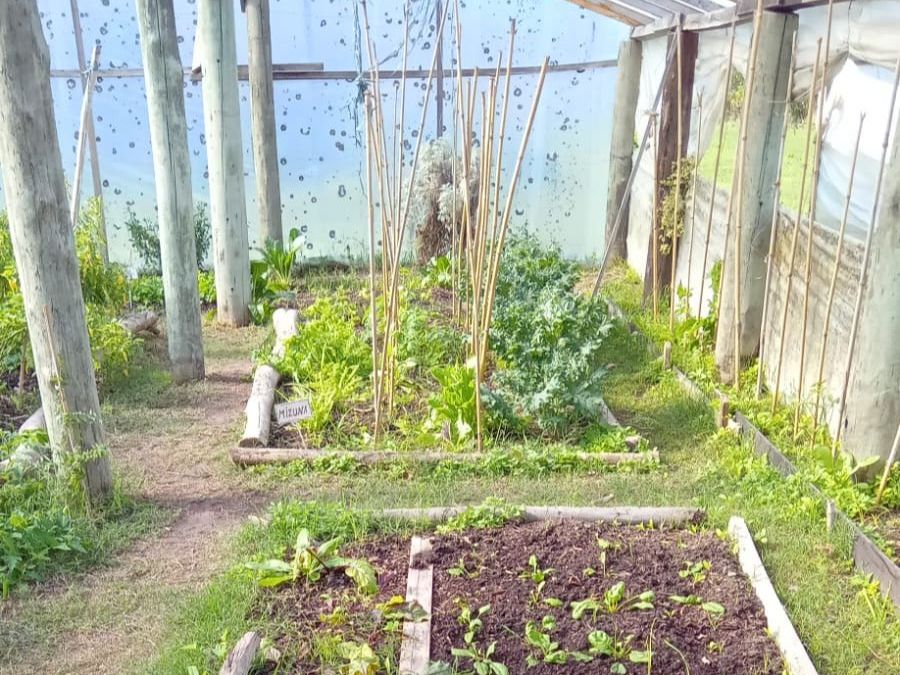 PARQUE ECOLÓGICO