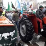 Productores hortícolas realizarán un tractorazo para reclamar mejoras en el sector