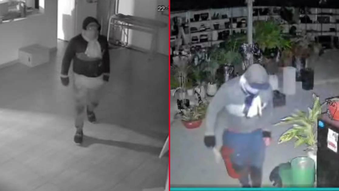 Un club y un vivero, víctimas de la inseguridad en Colonia Urquiza piden ayuda para identificar al ladró n - 1