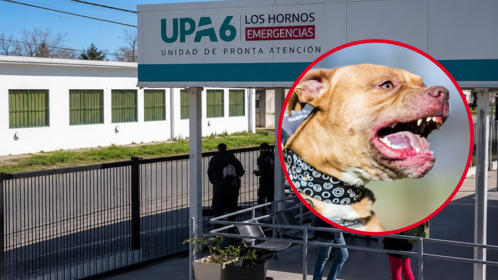 Una mujer fue atacada por dos pitbulls en 146 y 79 y terminó con mordeduras en los brazos, las piernas y la zona de las costillas