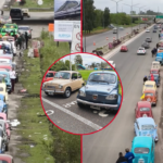 caravana-punta-lara-encuentro-nacional-fiat-600