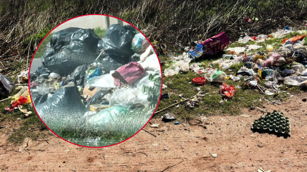 perros-muertos-los-hornos-reclamo-vecinal-crueldad-