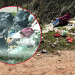 Indignación en 152 y 79 por la muerte de cuatro perros: apuntan a un posible envenenamiento