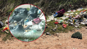 perros-muertos-los-hornos-reclamo-vecinal-crueldad-