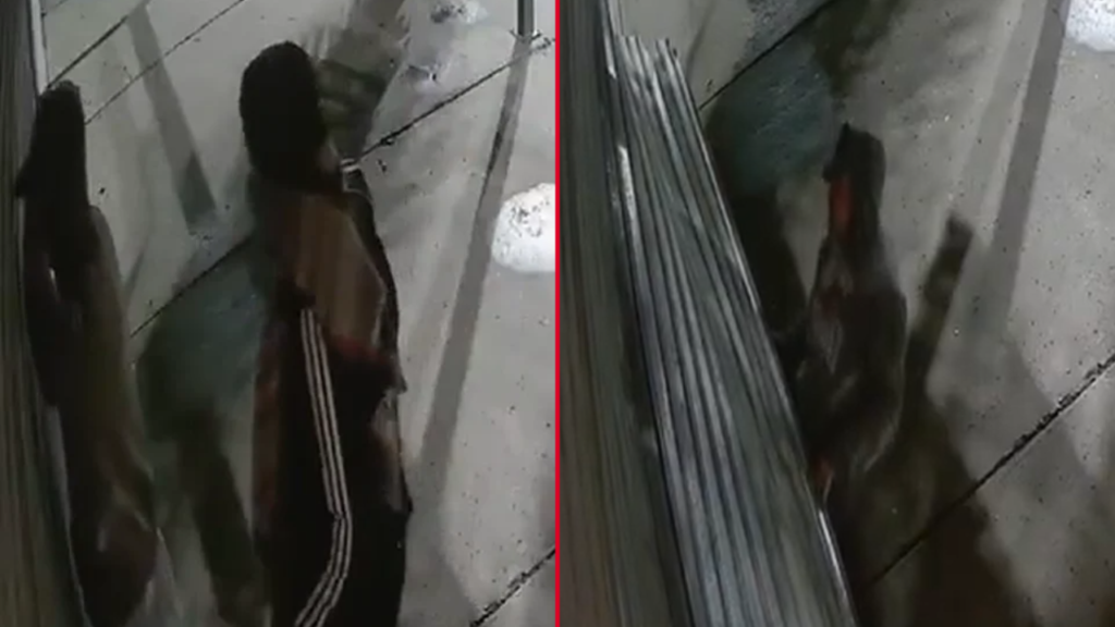 robo-heladeria-san-carlos-comerciantes-reclamo-seguridad
