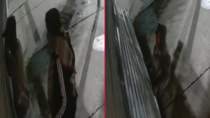 robo-heladeria-san-carlos-comerciantes-reclamo-seguridad