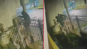 robos-inseguridad-139-32-san-carlos